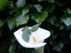 come-funziona-la-chat-