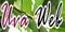 Puglia: olio, vino primitivo, sole, mare, spazio blog gratis